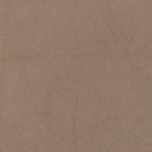 BP009
